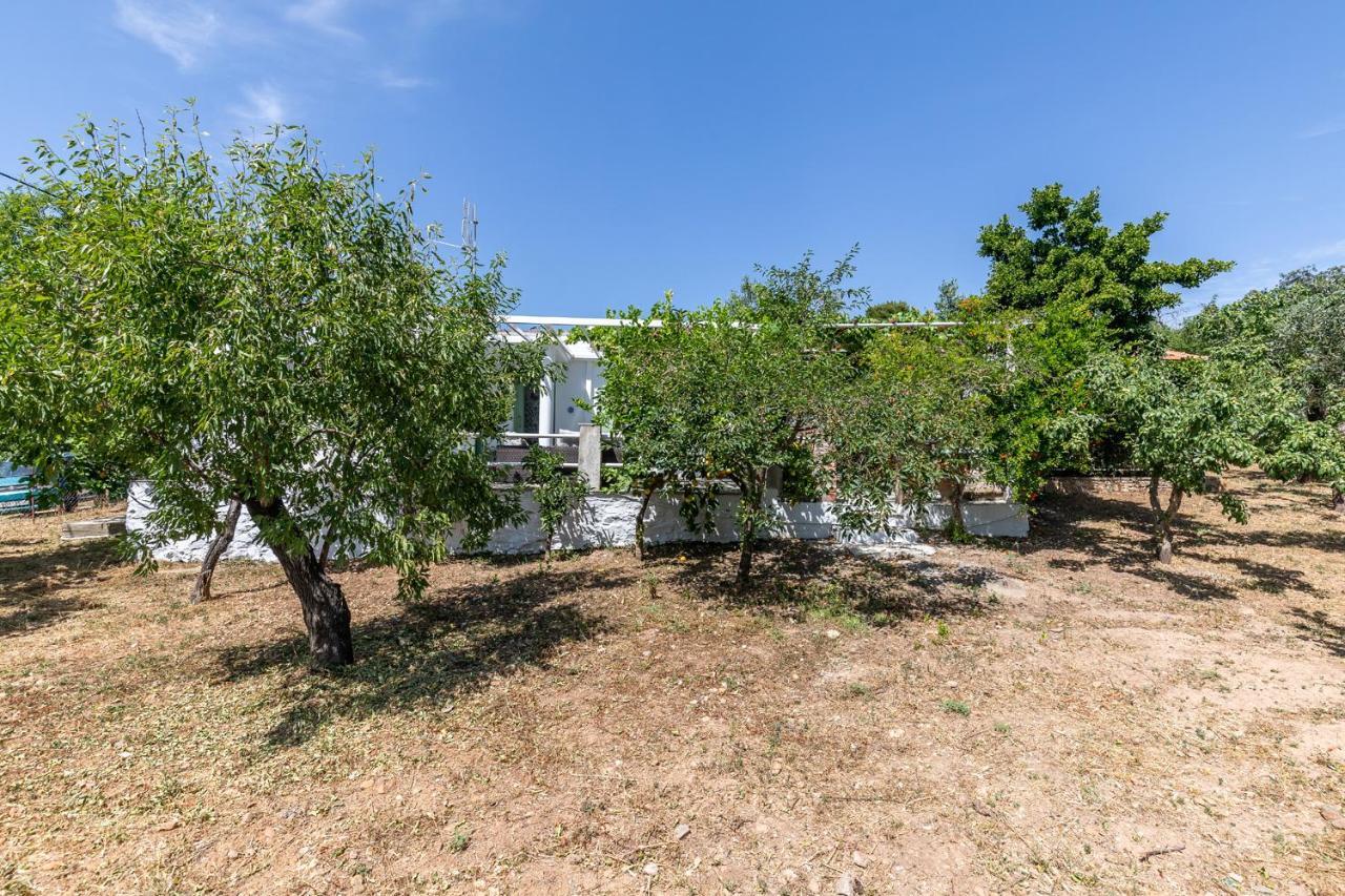 Skopelos Amigdalia cottage Esterno foto
